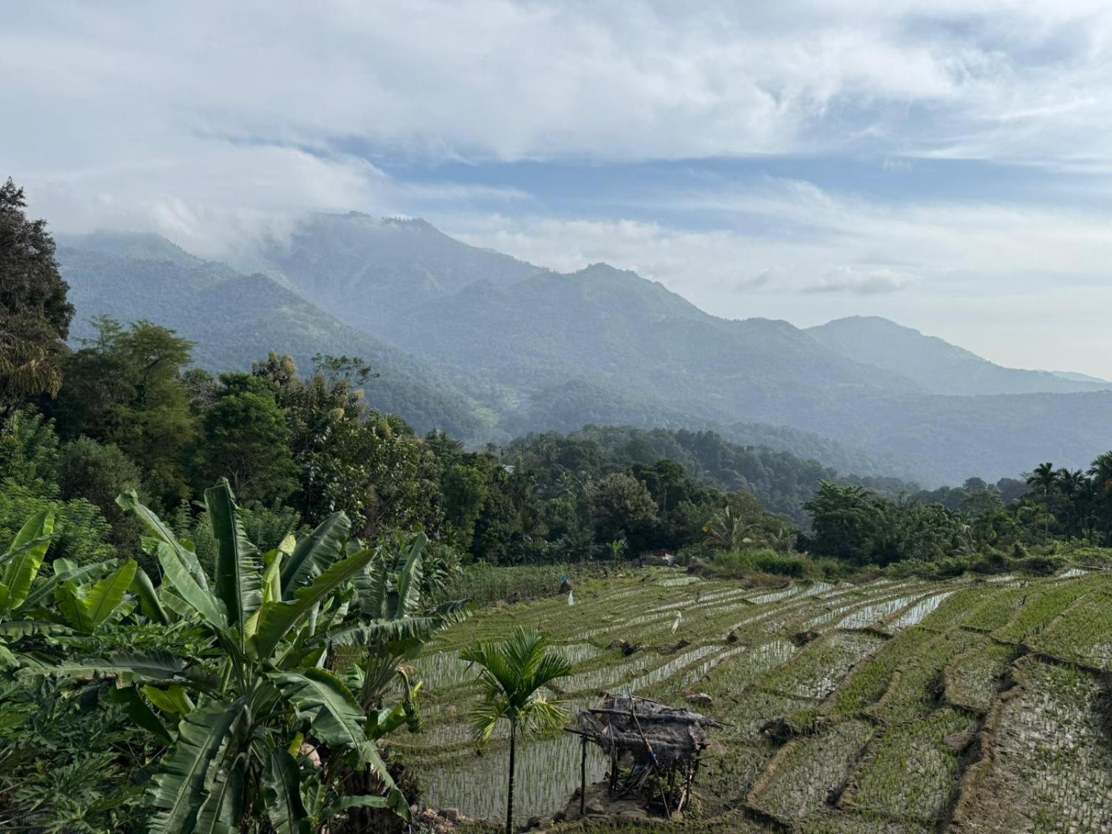 Kingdom Of Rustic Ella Villa Ruang foto
