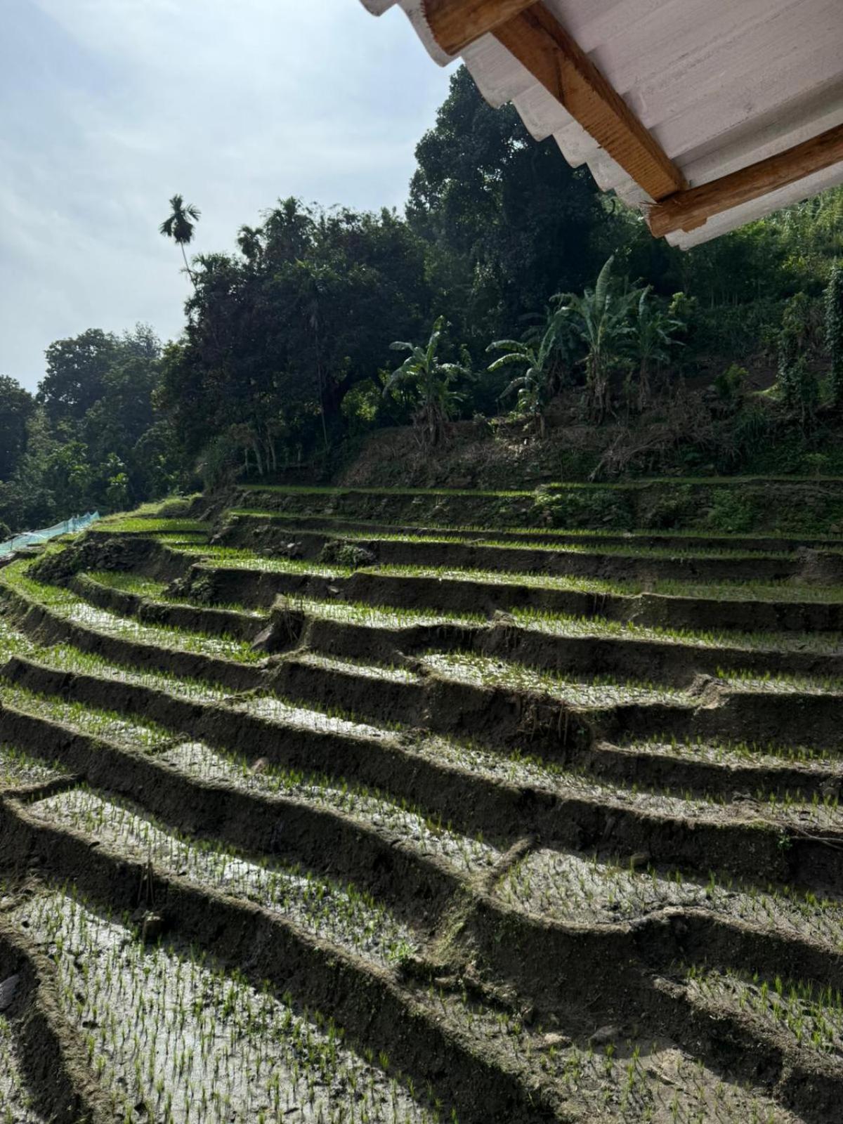 Kingdom Of Rustic Ella Villa Ruang foto