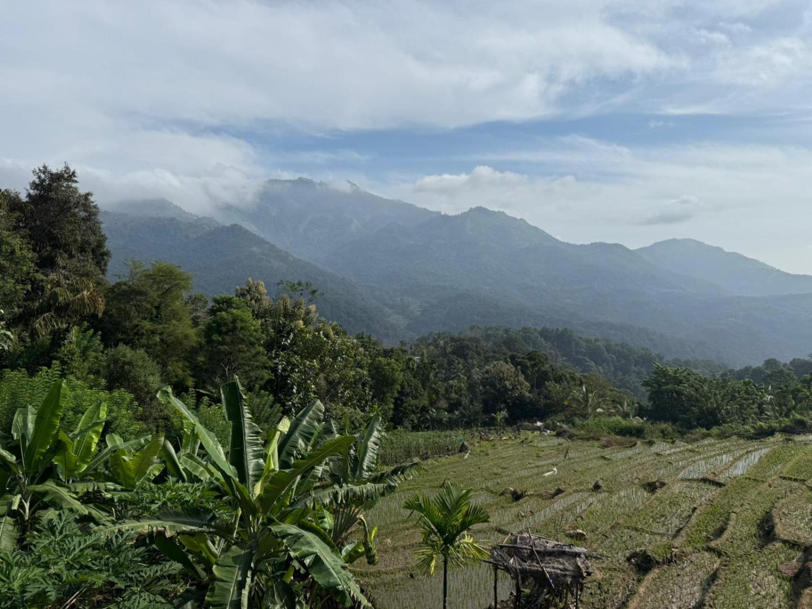 Kingdom Of Rustic Ella Villa Ruang foto