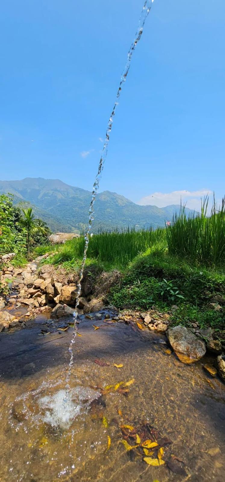 Kingdom Of Rustic Ella Villa Bagian luar foto