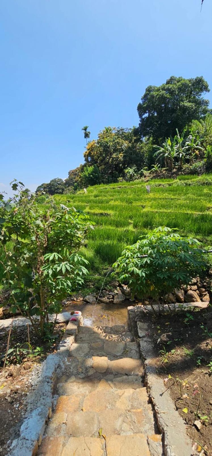 Kingdom Of Rustic Ella Villa Bagian luar foto