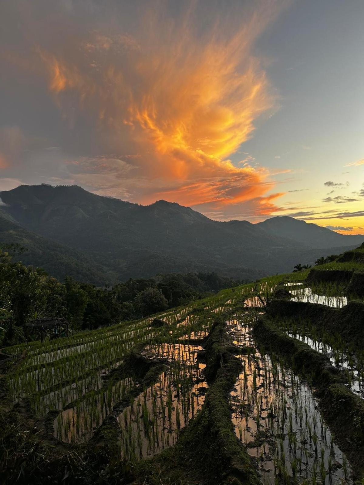Kingdom Of Rustic Ella Villa Bagian luar foto